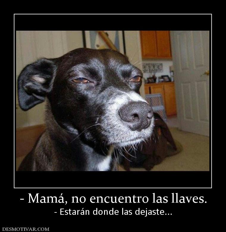 - Mamá, no encuentro las llaves. - Estarán donde las dejaste...