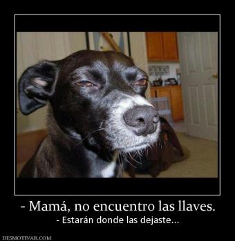 - Mamá, no encuentro las llaves. - Estarán donde las dejaste...