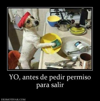 YO, antes de pedir permiso para salir