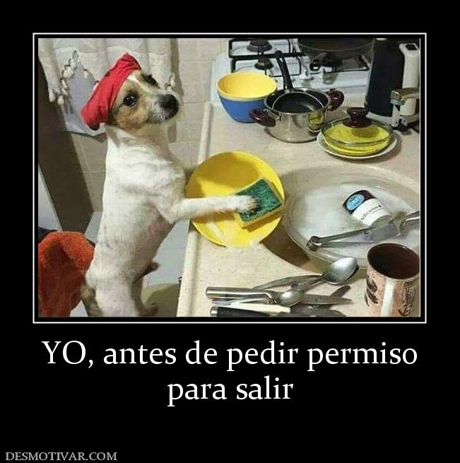 YO, antes de pedir permiso para salir