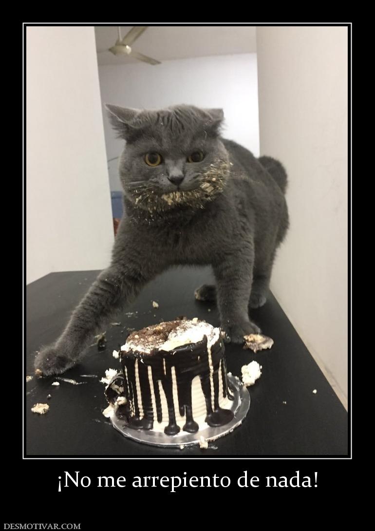 ¡No me arrepiento de nada!