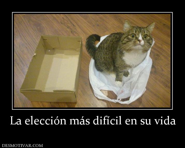 La elección más difícil en su vida