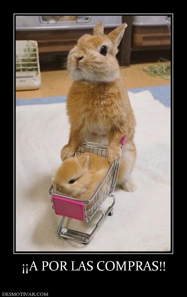 ¡¡A POR LAS COMPRAS!!