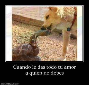 Cuando le das todo tu amor a quien no debes