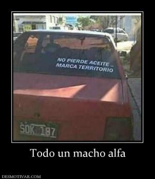 Todo un macho alfa