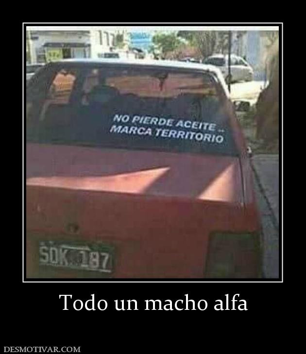 Todo un macho alfa