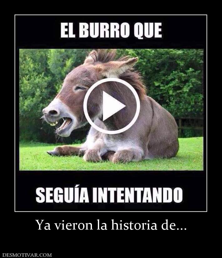 Ya vieron la historia de...