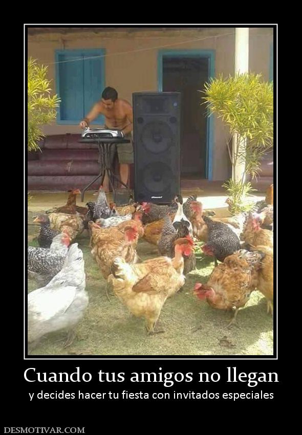 Cuando tus amigos no llegan y decides hacer tu fiesta con invitados especiales