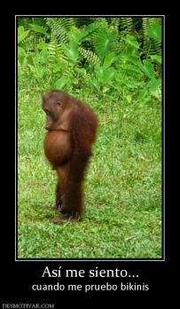 Así me siento... cuando me pruebo bikinis