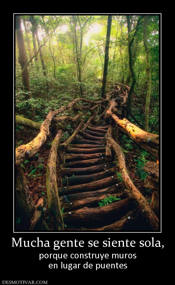 Mucha gente se siente sola, porque construye muros en lugar de puentes