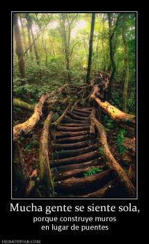 Mucha gente se siente sola, porque construye muros en lugar de puentes