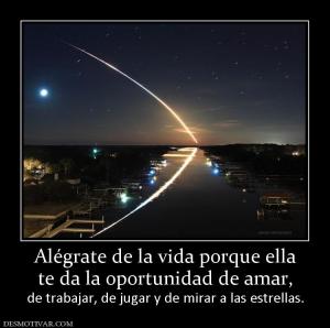 Alégrate de la vida porque ella te da la oportunidad de amar,  de trabajar, de jugar y de mirar a las estrellas.