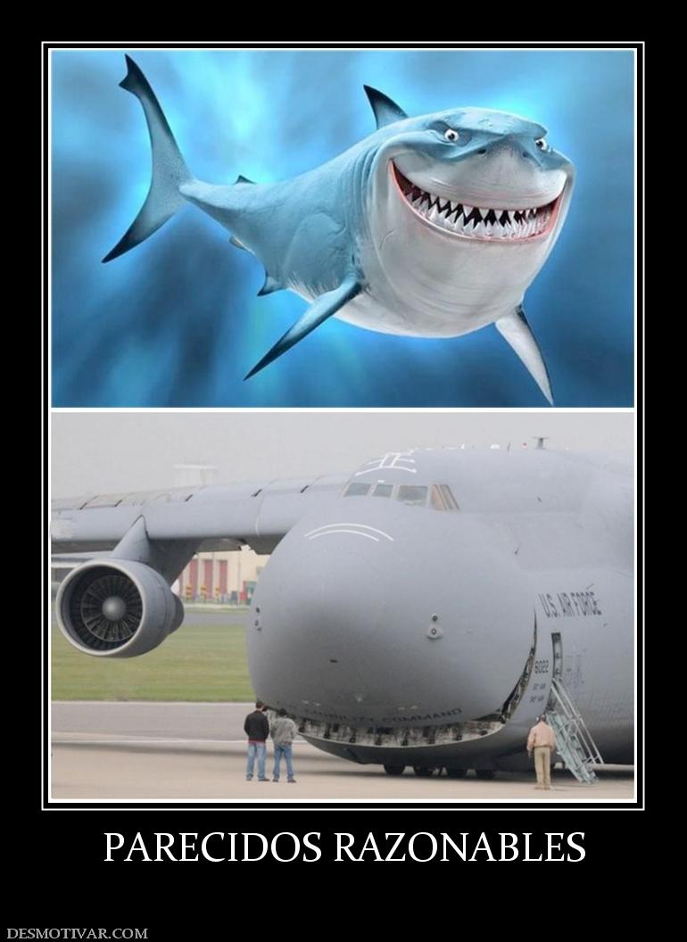 PARECIDOS RAZONABLES