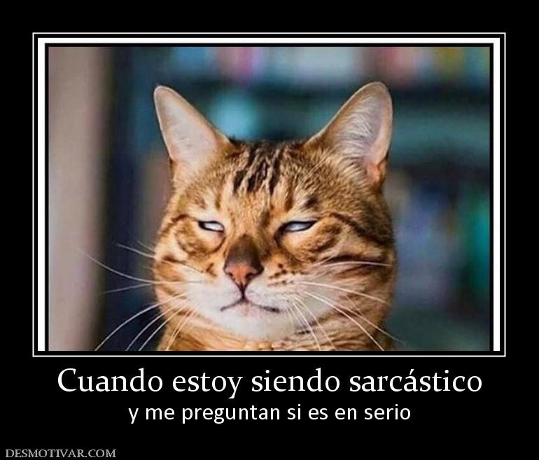 Cuando estoy siendo sarcástico y me preguntan si es en serio