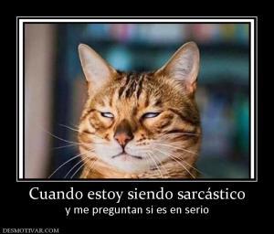 Cuando estoy siendo sarcástico y me preguntan si es en serio
