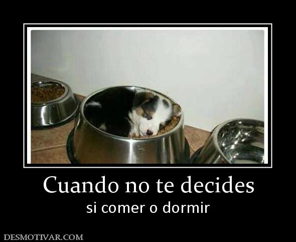Cuando no te decides si comer o dormir