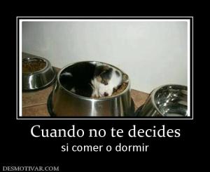 Cuando no te decides si comer o dormir