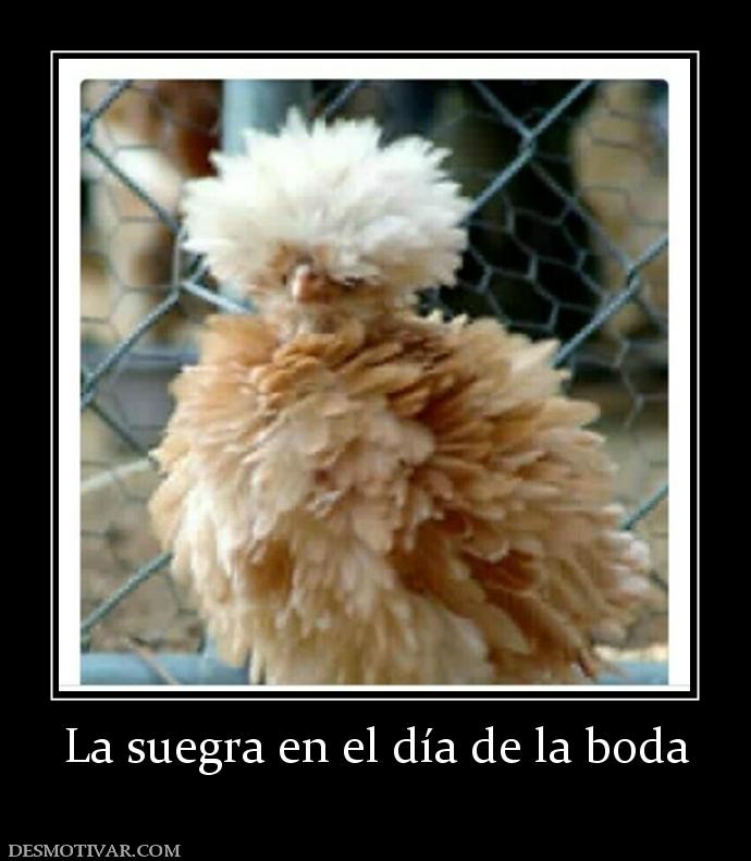 La suegra en el día de la boda