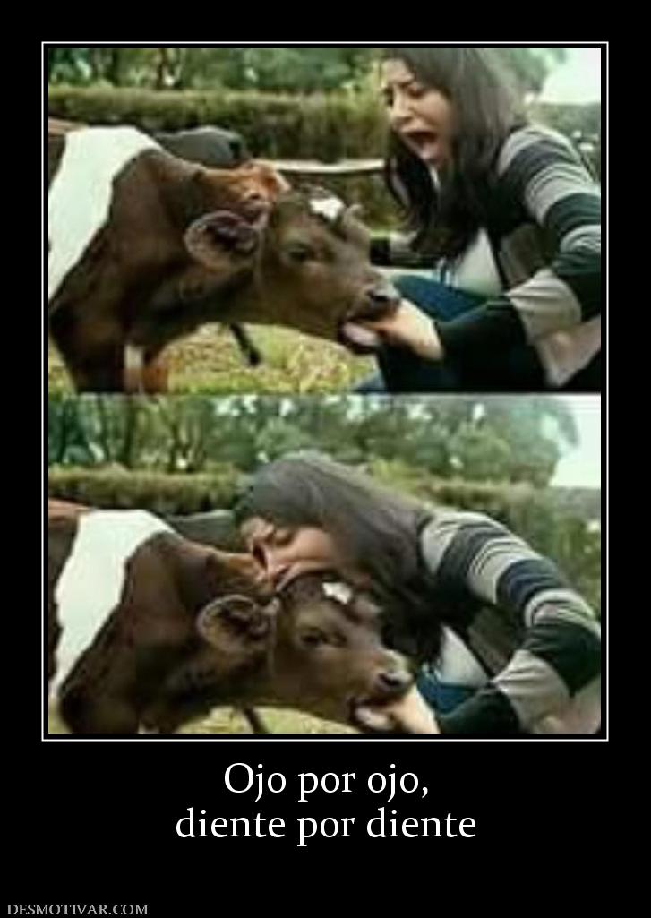 Ojo por ojo, diente por diente