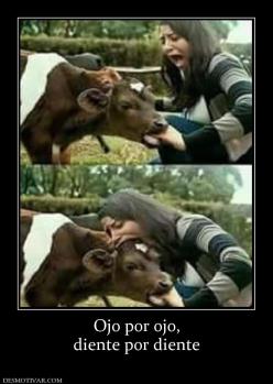 Ojo por ojo, diente por diente