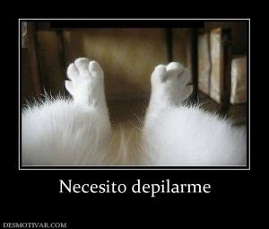 Necesito depilarme