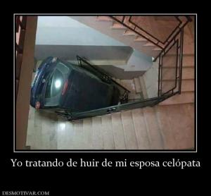 Yo tratando de huir de mi esposa celóp