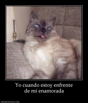 Yo cuando estoy enfrente de mi enamorada