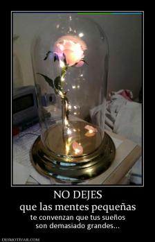 NO DEJES que las mentes pequeñas  te convenzan que tus sueños son demasiado grandes...