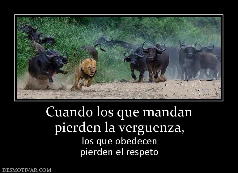 Cuando los que mandan pierden la verguenza, los que obedecen pierden el respeto
