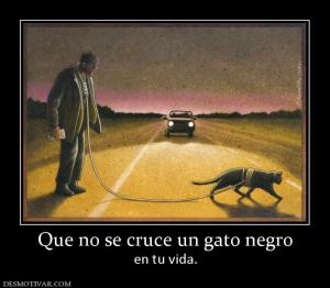 Que no se cruce un gato negro en tu vida.