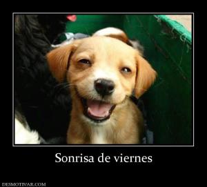Sonrisa de viernes