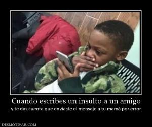 Cuando escribes un insulto a un amigo y te das cuenta que enviaste el mensaje a tu mamá por e