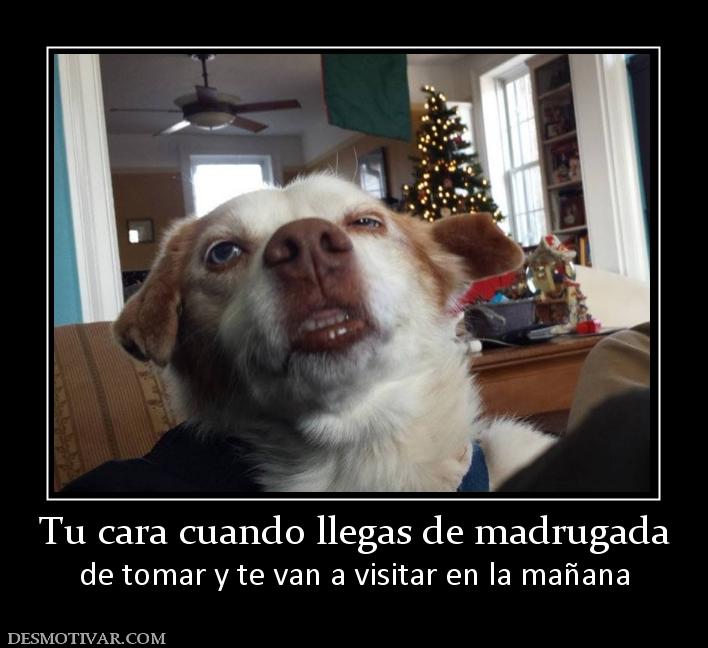 Tu cara cuando llegas de madrugada de tomar y te van a visitar en la mañana