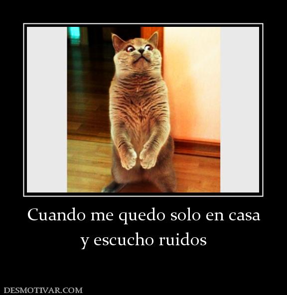 Cuando me quedo solo en casa y escucho ruidos