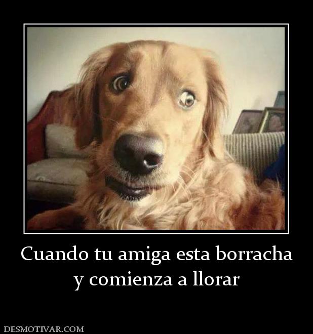 Cuando tu amiga esta borracha y comienza a llorar