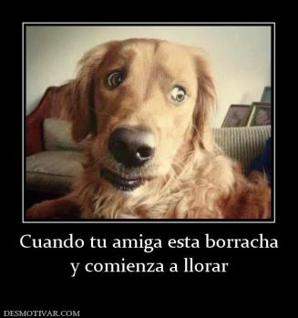 Cuando tu amiga esta borracha y comienza a llorar