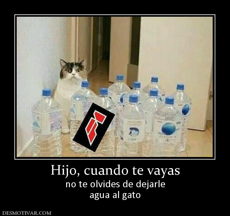 Hijo, cuando te vayas no te olvides de dejarle agua al gato