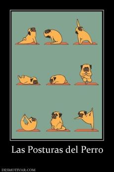Las Posturas del Perro