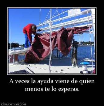 A veces la ayuda viene de quien menos te lo esperas.