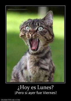 ¿Hoy es Lunes? ¡Pero si ayer fue Viernes!