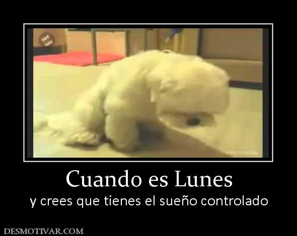 Cuando es Lunes y crees que tienes el sueño controlado