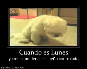 Cuando es Lunes y crees que tienes el sueño controlado