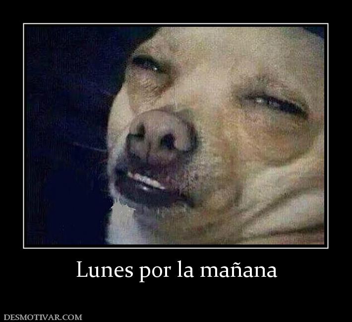 Lunes por la mañana