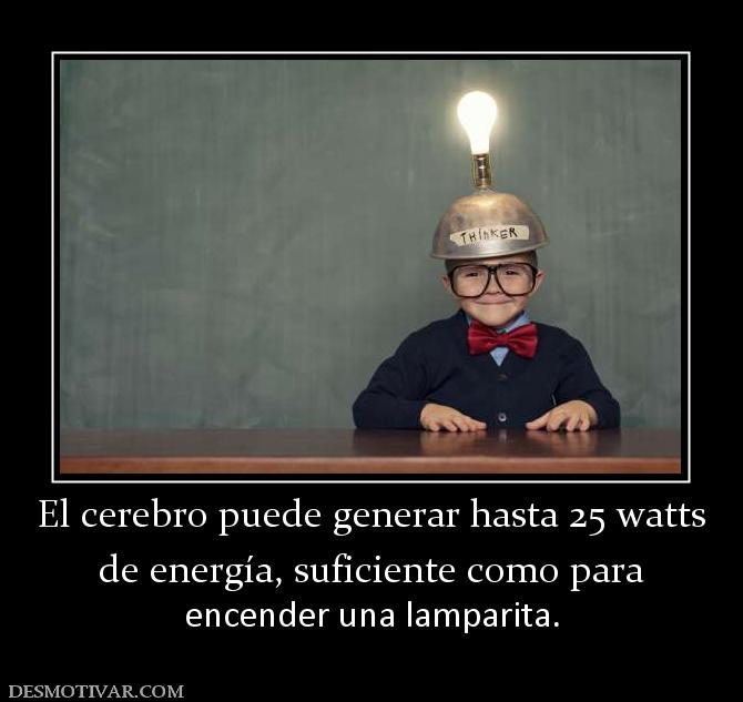El cerebro puede generar hasta 25 watt de energía, suficiente como para encender una lamparita.