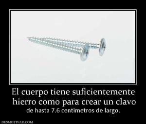 El cuerpo tiene suficientemente  hierro como para crear un clavo de hasta 7.6 centímetros de largo.