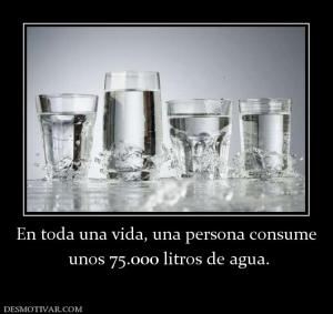 En toda una vida, una persona consume  unos 75.000 litros de agua.