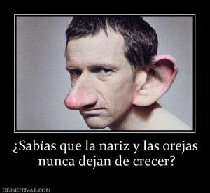 ¿Sabías que la nariz y las orejas  nunca dejan de crecer?