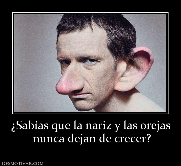 ¿Sabías que la nariz y las orejas  nunca dejan de crecer?