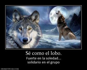 Sé como el lobo. Fuerte en la soledad... solidario en el grupo