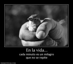 En la vida... cada minuto es un milagro que no se repite